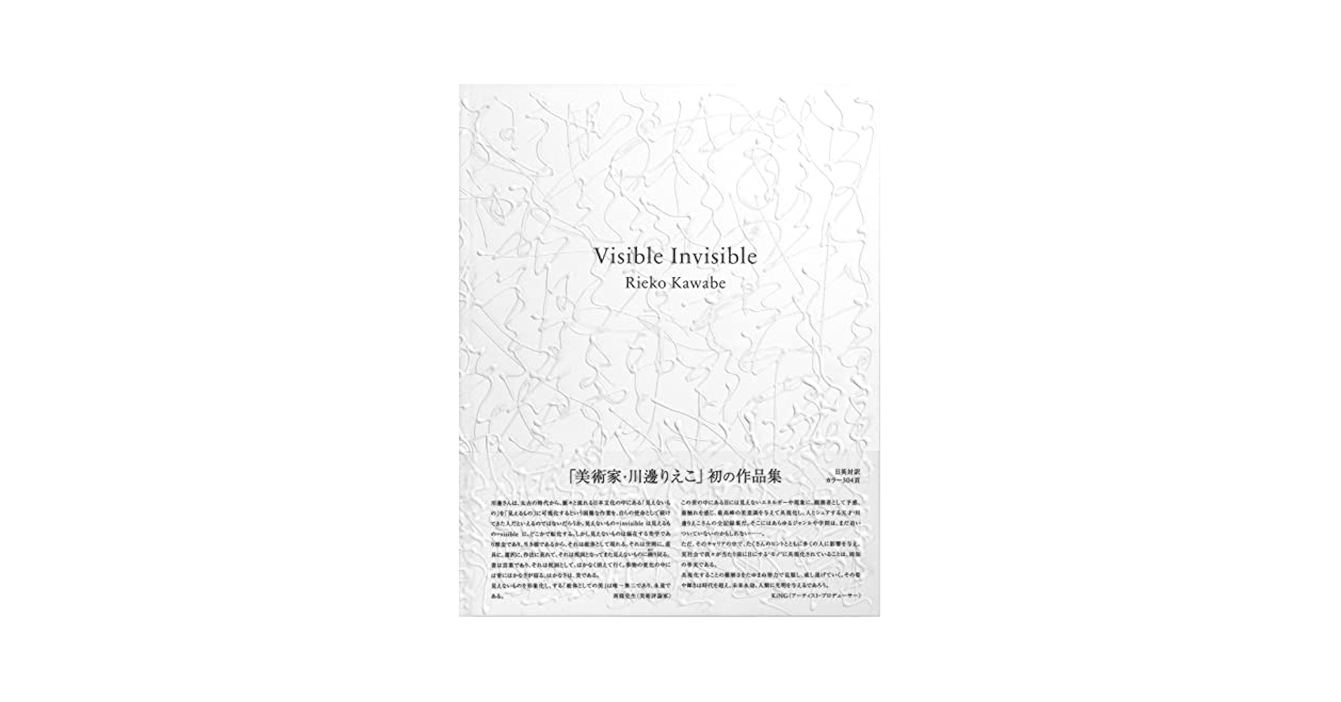 Amazon.co.jp: Visible Invisible : 川邊 りえこ: Japanese Books