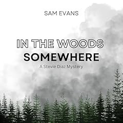 In the Woods Somewhere Audiolibro Por Sam Evans arte de portada