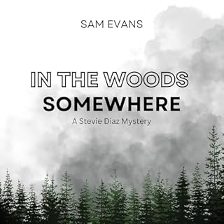 In the Woods Somewhere Audiolibro Por Sam Evans arte de portada