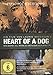 Produktbild Heart of a Dog (OmU)