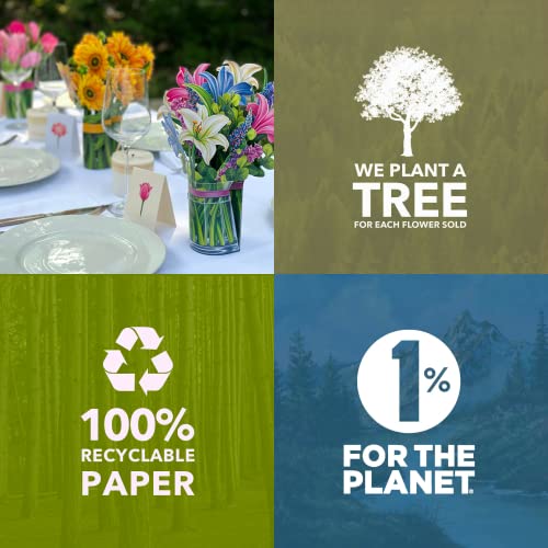 Freshcut Paper 3709 Pop Up Cards, Paper Flower Bouquet 3D Popup Greeting Cards thumb #8