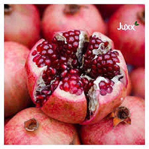 Suco de Romã JUXX 1 Litro (3x)