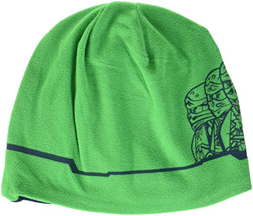 Image of LEGO Wear Kids' Microfleece NINJAGO Beanie Hat