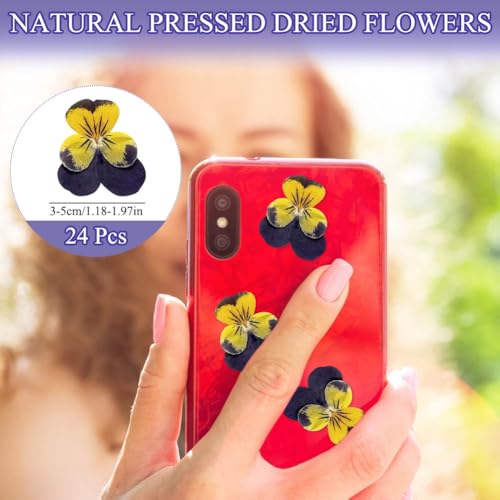 24 Flores Secas Naturales para Manualidades DIY miniatura 2