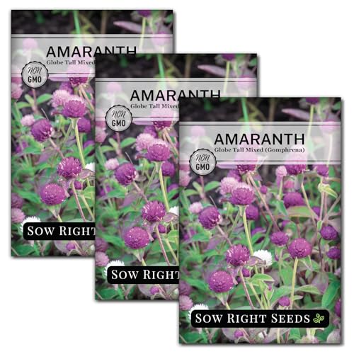 Sow Right Seeds - Tall Mixed Globe Amaranth Seed for Planting Gomphrena 3pk