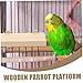 BESPORTBLE 2pcs Rectangular Parakeet Platforms Natural Wooden Bird Stands for Parrots and Cockatiels Easy to Install for Multiple Birds for Cages