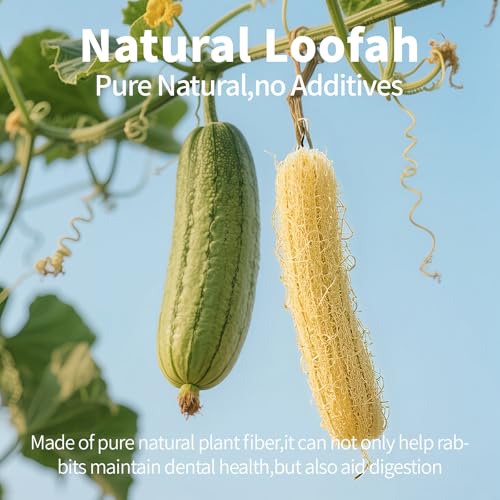 BESNEW 3 PCS Rabbit Chew Toys,100% Natural Loofah Without Additives,Bunny Chew Toys for Teeth,Fiber-Rich Rabbit Treats for Bunny Chinchilla Dogs — view 6