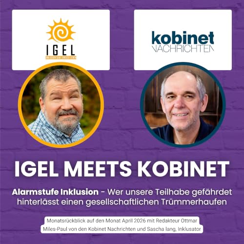 Alarmstufe Inklusion &ndash; Wer unsere Teilhabe gef&auml;hrdet hinterl&auml;sst einen gesellschaftlichen Tr&uuml;mmerhaufen
