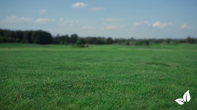 Fertilizzante Prato Universale Organifer - 20 Kg Per 400 M², Con Calce - Per Erba Verde, Senza Muschio - Foto 3