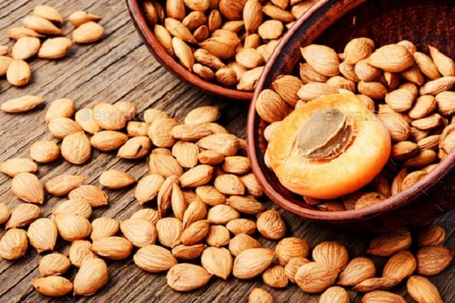 Organic Bitter Raw Apricot Seeds - Raw, Bitter, Vegan, Gluten-free, GMO-free 8 oz - Image 5