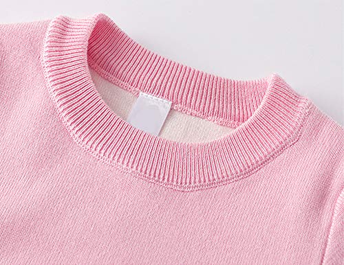 Image of Girl Pink Crewneck Sweaters Rainbow Sweater Knit Tops for 2-8 Years