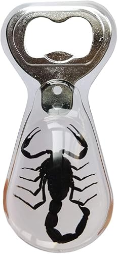 Miniatura 1 de Espécimen de insectos escorpión negro real construido en abridor de botellas de vino de cerveza, colección de taxidermia animal, manualidades de