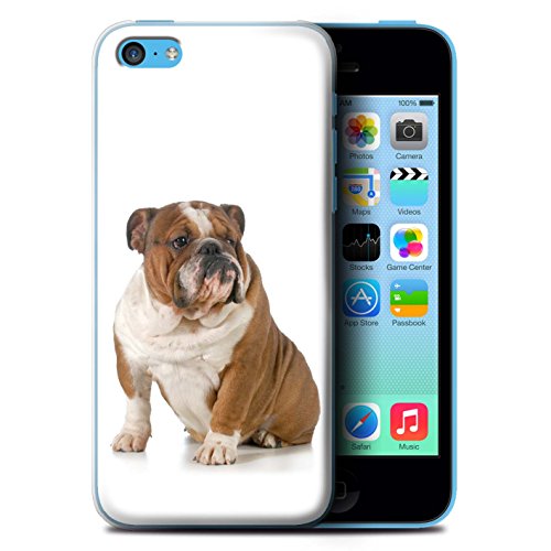 Carcasa/Funda STUFF4 dura para el Apple iPhone 5C / serie: Razas de perros   Buldog