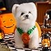 Winmany Süßes Kürbis-Kostüm für kleine Hunde und Katzen, leichtes Haustier-Halloween-Outfit, lustige Herbstkleidung für Haustiere, Party, Cosplay, Fotoshooting, Größe M