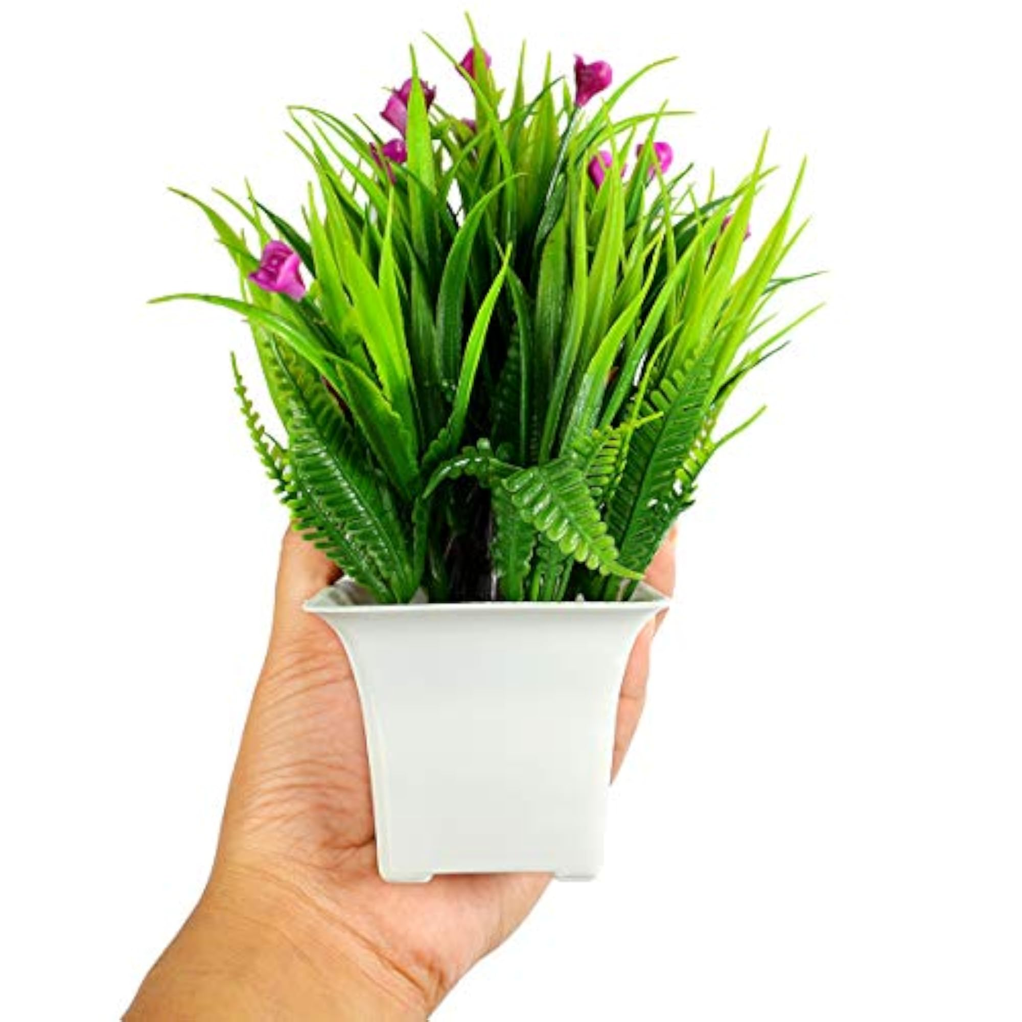 Bonsai Plants for Home Indoor Decor with Pot