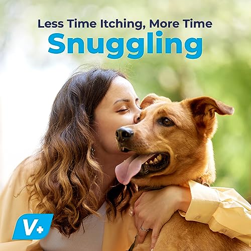 Vetnique-Dermabliss-Dog-Skin-Health-Antiseptic-Medicated-Chlorhexidine-Shampoo-Spray-and-Wipes-Vet-Recommended-for-Skin-Infections-Hot-Spots-Irritation-Medicated-Skin-Wipes-50ct