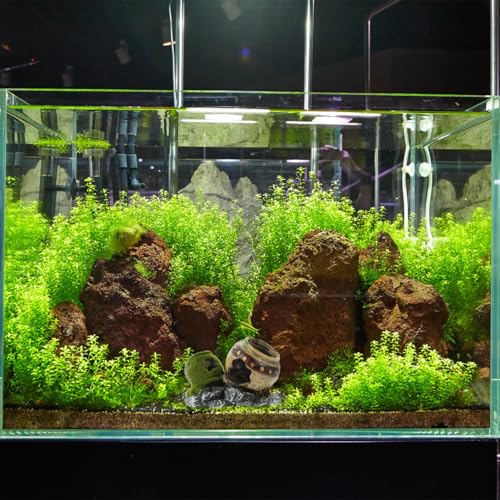 Image of POPETPOP Fish Hiding Cave, Fish Tank Decor Glass Vase Aquarium Ruins Ancient Leaning Vase Rock Broken for Betta Marine Freshwater Fish Tank Decoration