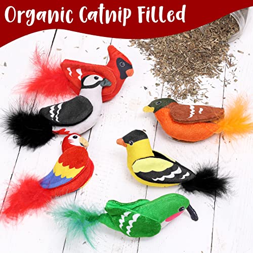 Ciyvolyeen Catnip Toy, Birds Cat Toys Feathers Hummingbird Cardinal Robin Goldfinch Woodpecker Parrot Kitten Stuff Flying Interactive Catmint Pillows Plush Teething Chew Kitty Gift Ideas 6Pcs #TOP3