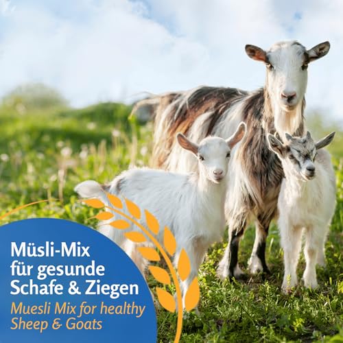 Leimüller Schaffutter & Ziegenfutter Müsli 20 kg - Futter für Schafe, Ziegen und Lämmer – Beliebtes Schafsfutter & Ziegen Futter - 100% gentechnikfrei und mehrfach gereinigt