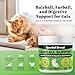 Special Breed Hairball Support for Cats - 10 Super Ingredients for Hairball Relief, Digestive Support & Healthy Skin - No Fillers - Psyllium, Pumpkin, Omega-3s & More - 720 Scoops