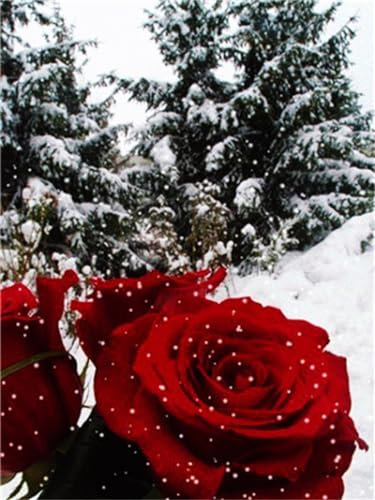 Diamond Painting Grand Cadeau Créatif pour Anniversaire, Kit Peinture Diamant Unique 80x90