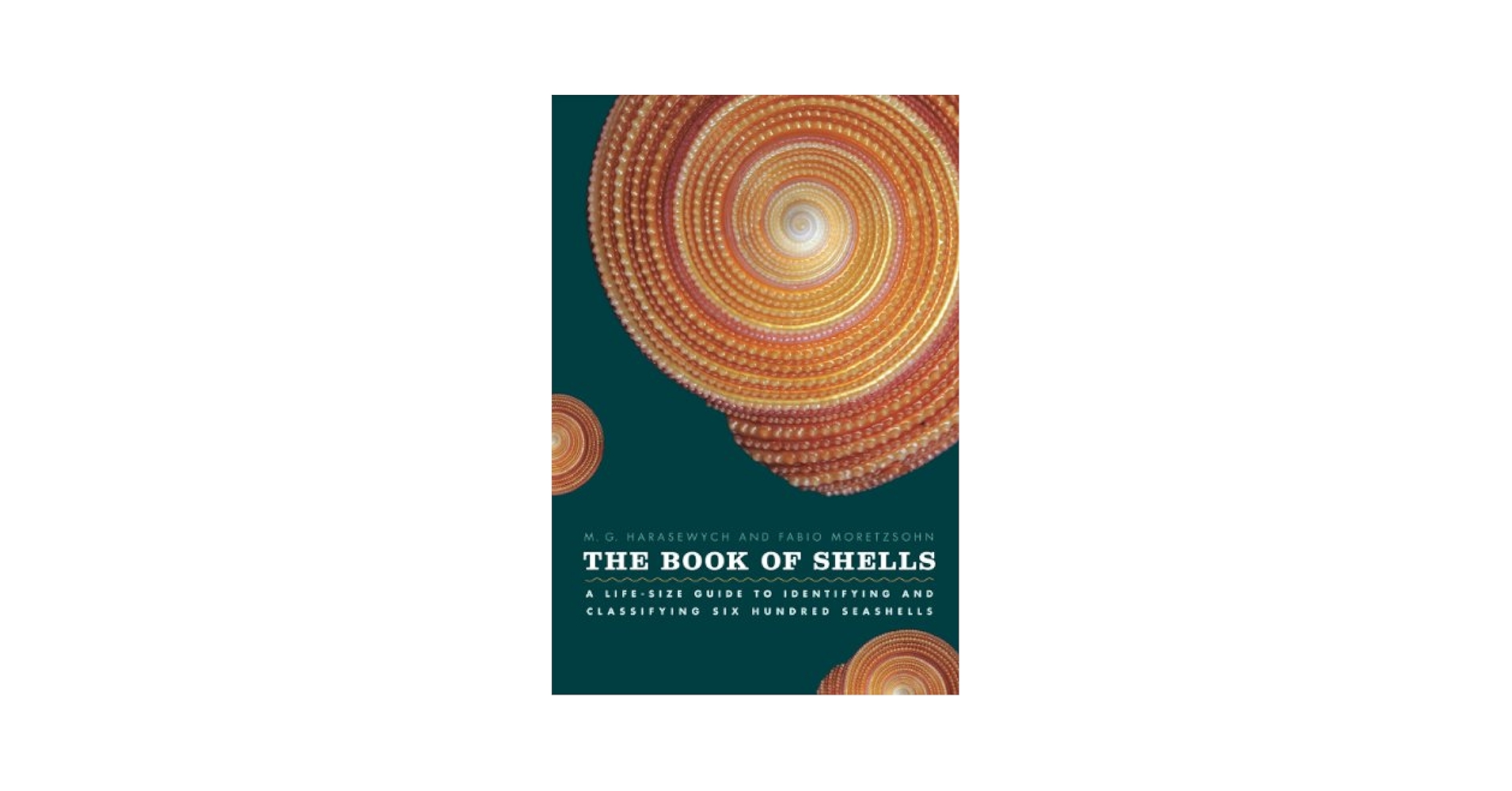 The Book of Shells: A Life-Size Guide to Identifying and
