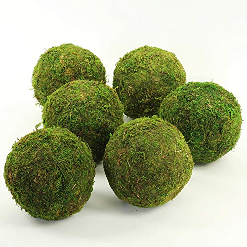 Koyal Wholesale 6-Pack Green Moss Balls, 6-Inch
