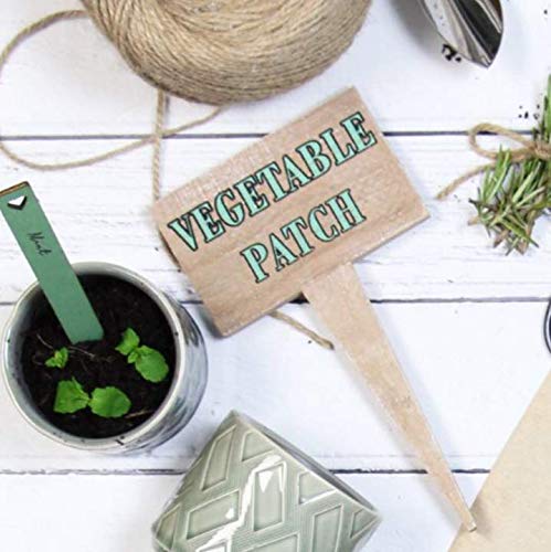 Tutti Decor Gisela Graham Wooden Vegetable Patch Sign Painted Squat Stake for allotment vegtable or kitchen garden