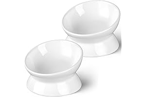 Elevated Whisker Friendly Anti-Vomit Cat Plate