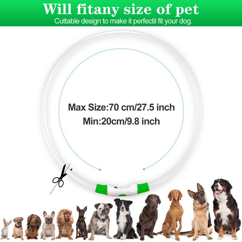 Sofore Collare Luminoso per Cani,Luz de Collare Luminoso Per LED Para la Oscuridad,USB Recargable 3 Modos de Flash Collare Luminoso per Cani Ricaricabile Tamaño Ajustable,Adecuado para Perros,Verde