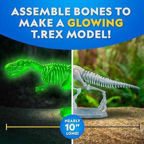 image for Blue Marble National Geographic Glow-in-The-Dark T. Rex Dissection Lab