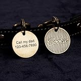 Medagliette identificative personalizzate per animali domestici, medagliette per cani e gatti, medagliette rotonde in ottone per indirizzo