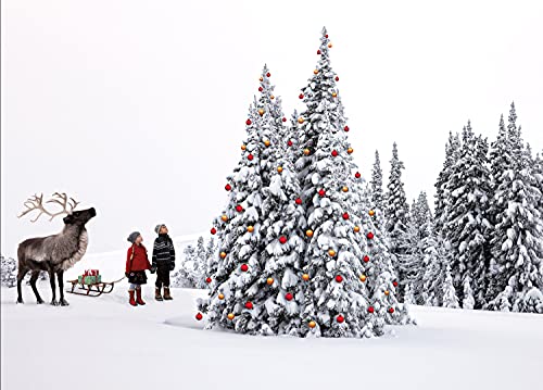 Christmas Tree, Kids, and Reindeer Christmas Cards Boxed Set of 12 Holiday Cards and 12 Envelopes. Made in USA.