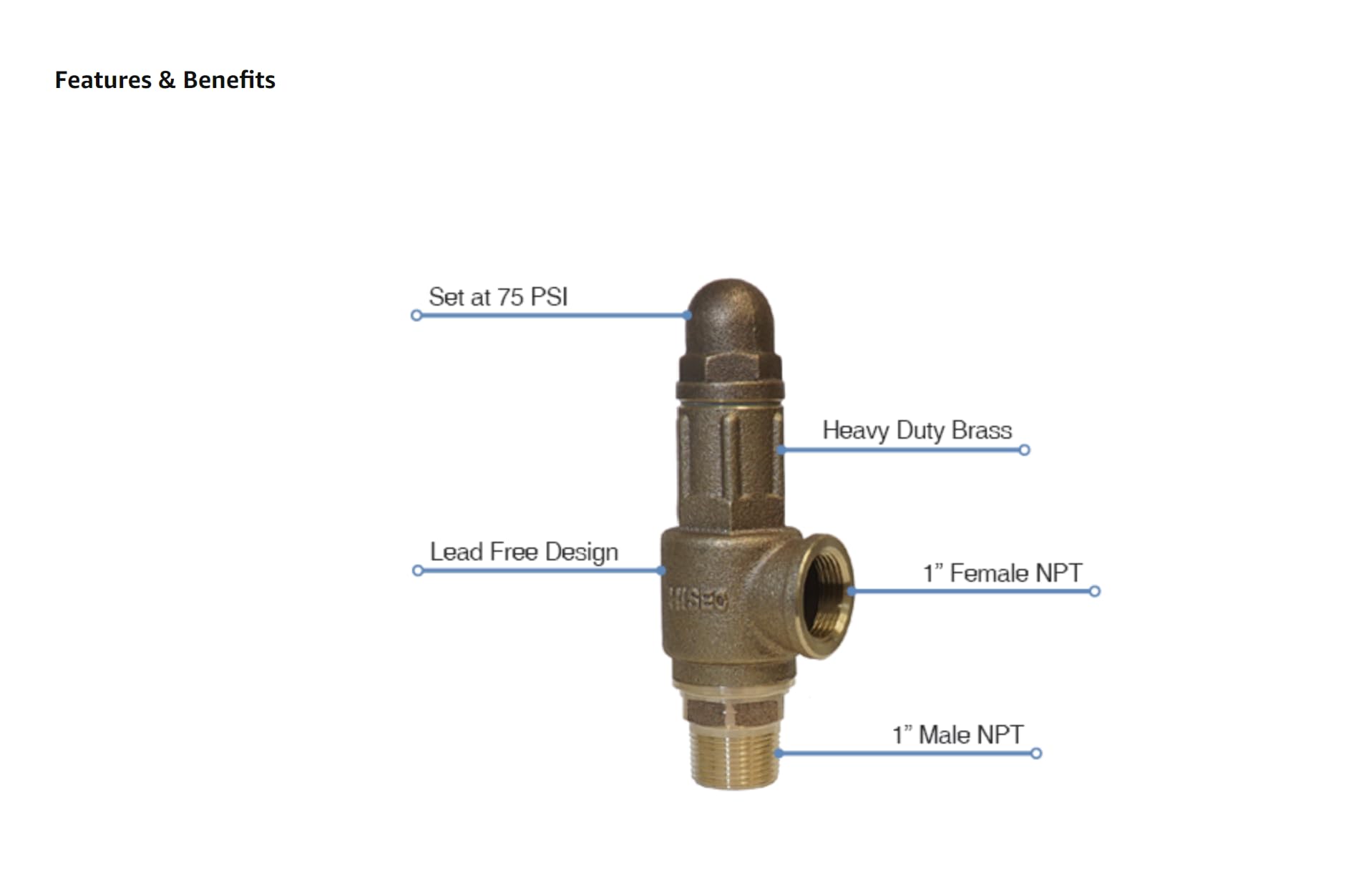 Merrill Heavy PRVHDNL100 - Válvula de alivio de presión de latón resistente sin plomo, 75 PSI, grado de contratista, 1 pulgada
