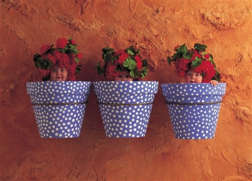 Preisvergleich Produktbild Schmidt Spiele - Anne Geddes, Geranien-Trio, 111 Teile Puzzle