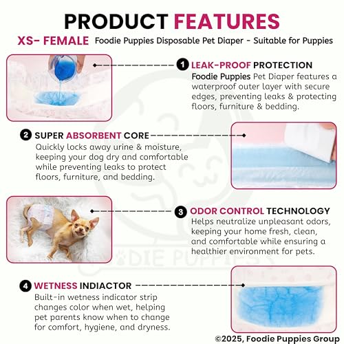 Image of Foodie Puppies Disposable Dog Diapers for Female Dogs - (XS) | Absorbent Female Dog Diapers with Leak Protection | Female Dogs in Heat, Excitable Urination, or Incontinence