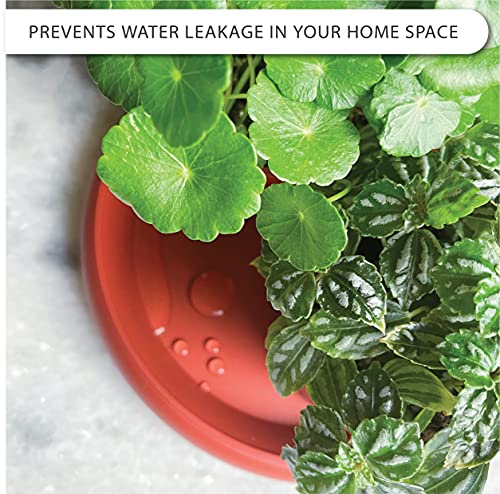 Loopseed Plant Saucer 6 Pack Drip Trays Planter Pot Base Heavy Duty Plastic Drainage Tray For Indoor Houseplants Outdoor Garden 5 Inch 8 Inch 11 Inch 3 Sizes 2 Each Round (Terracotta) #TOP2