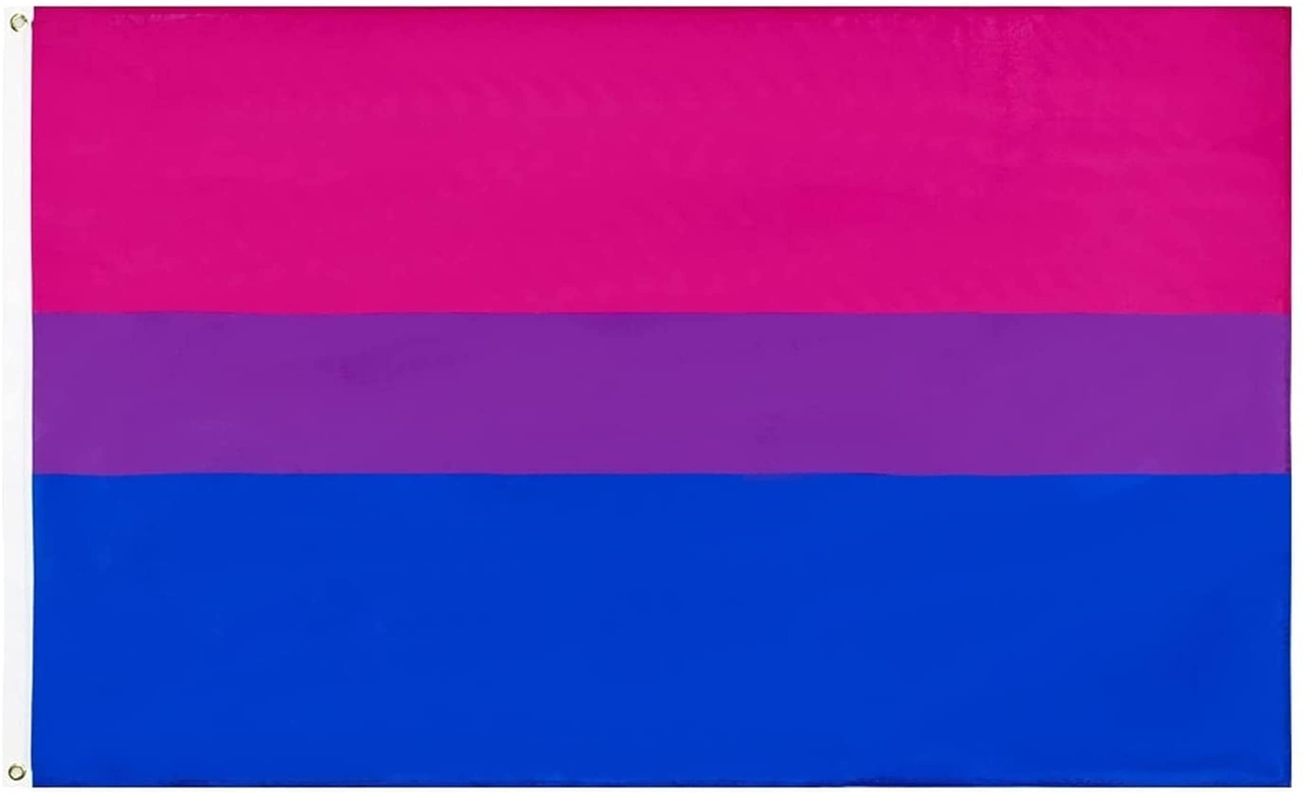 Pansexual Pride Flag Progress Rainbow 90x150cm Desfile Mes Orgullo LGBTQIA Banner Pared Interior Exterior Colgante Decoración Voladora Resistente Decoloración UV Color Vivo