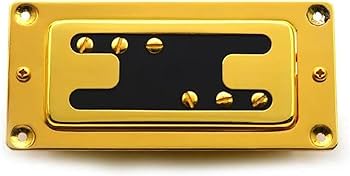 Amazon.co.jp: ゴールド 2 ライン 6 穴エレキギターのハムバッキング