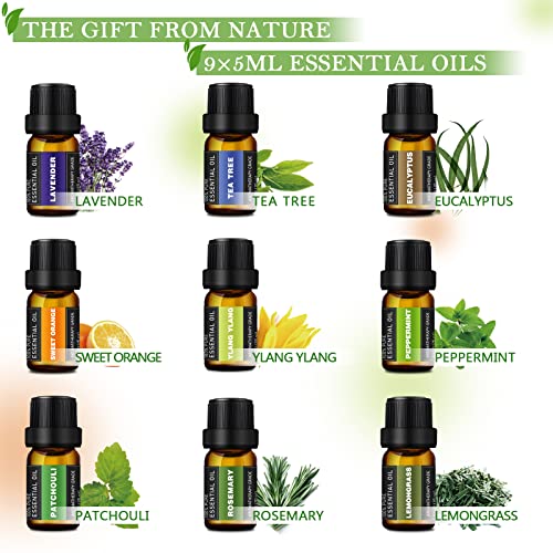Sacatr Essential Oils Set -100% Natural Essential Oils -Perfect For Diffusers, Aromatherapy,Humidifiers,Massage,Skin & Hair Care thumb #2