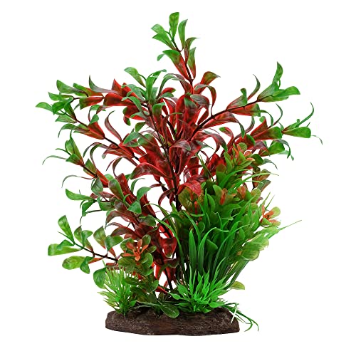 Fluval Set de Plantas Ludwigia Rojo 20cm decoración Acuario