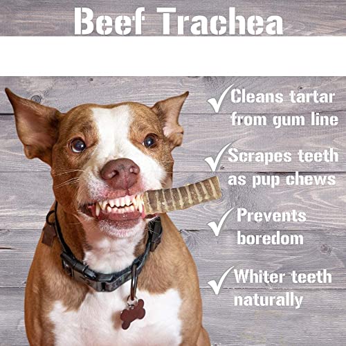 Pawkaboo Natural Dog Treats, Premium Beef Air Pipe Round Tracheas for Dogs Small Cuts 600g Pack (25-35 pieces) 3-4 inch Long - Image 3