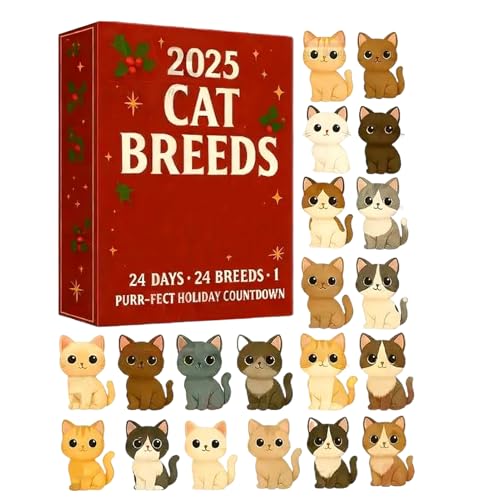 LI[ig NX}XAhxg 2025 | 2DANL̑i24 - zf[ I[ig JEg_E J_[,ցAItBXA[XAKiAA}gAǁAArO[p