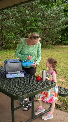 Image of AI ACCESSORY INNOVATIONS Bluey & Bingo 2 in 1 kids Backpack, 16 inch School Bag with Insulated Pocket & Bento Box for Boys & Girls, Blue