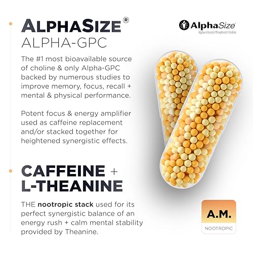 AMPM Nootropic Total Focus + Calm 9X Strength w. Caffeine, L-Theanine, Alpha GPC, L-Tyrosine, Ashwagandha - X-Release Energy Pills Nootropics Brain Support Supplements for Memory and Focus Supplement - Thumbnail 7