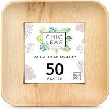 Chic Leaf Disposable Palm Leaf Plates - 50 Count, 8" Square, Natural - Bamboo Plates Disposable, Biodegradable & Compostable - Microwave Safe & Heavy Duty - Event & Party Supplies - Wedding Decor