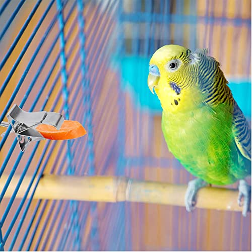 4 Pezzi Mangiatoia per Pappagalli, Pappagallo