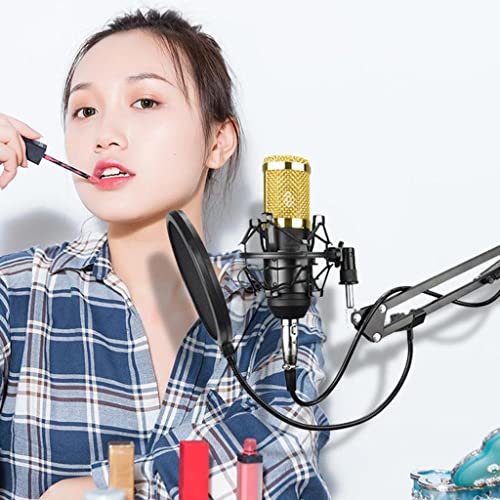 Image of BNF Condenser Microphone Kit For Studio Recording Silver A