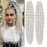 Maysa 22 inch Deep Wave Crochet Hair 6Packs Soft Synthetic Ocean Wave Hair Extensions Curly Crochet Hair for Women #White Silver