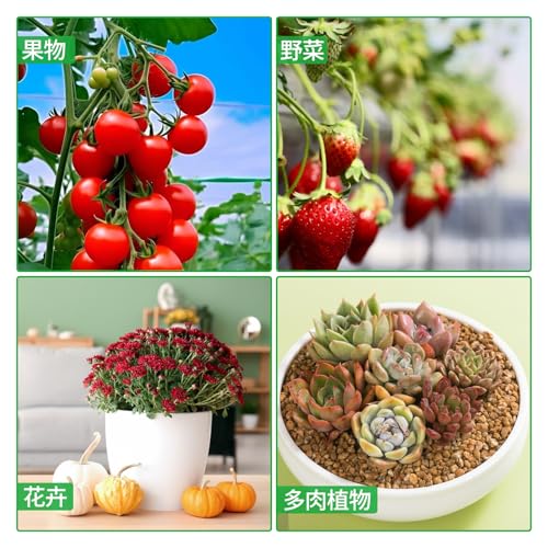 Coollooda 植物育成ライト LED育成ライト 1セット4本 暖色系 160個LEDチップ 植物ライトタイマー機能(3/9/12H) 10段階調光 観葉植物育成ライト 室内栽培ランプ usb給電 植物成長促進用ランプ 日照不足解消 野菜 多肉植物 観葉植物 室内栽培 水耕栽培 家庭菜園 園芸用品 型番JPZB-zhiwudeng-TYG-4tou-33cm の商品画像 5